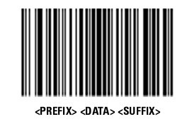 [PREFIX][DATA][SUFFIX]