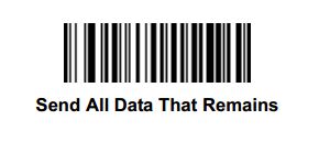 Send All Data That Remains